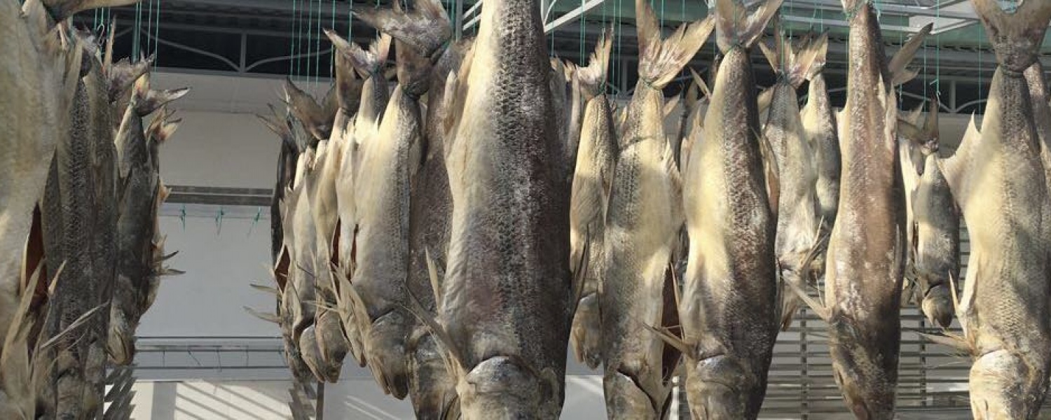SALTED FISH 梅香鹹魚 <br> BY THANH LONG WHOLESALE SUPPLIER